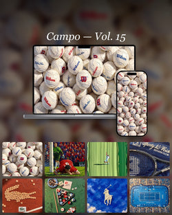 Campo Vol. 15